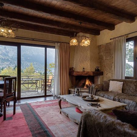 Parnassus Dreamwood Chalet Eptálofos Dış mekan fotoğraf