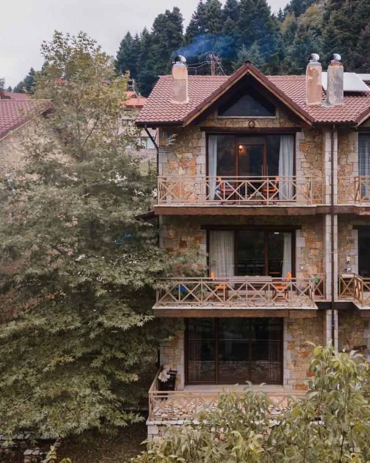 Parnassus Dreamwood Chalet Eptálofos Dış mekan fotoğraf